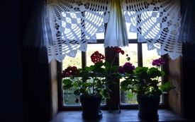 uczestnicy wycieczki podczas zwiedzania (64)