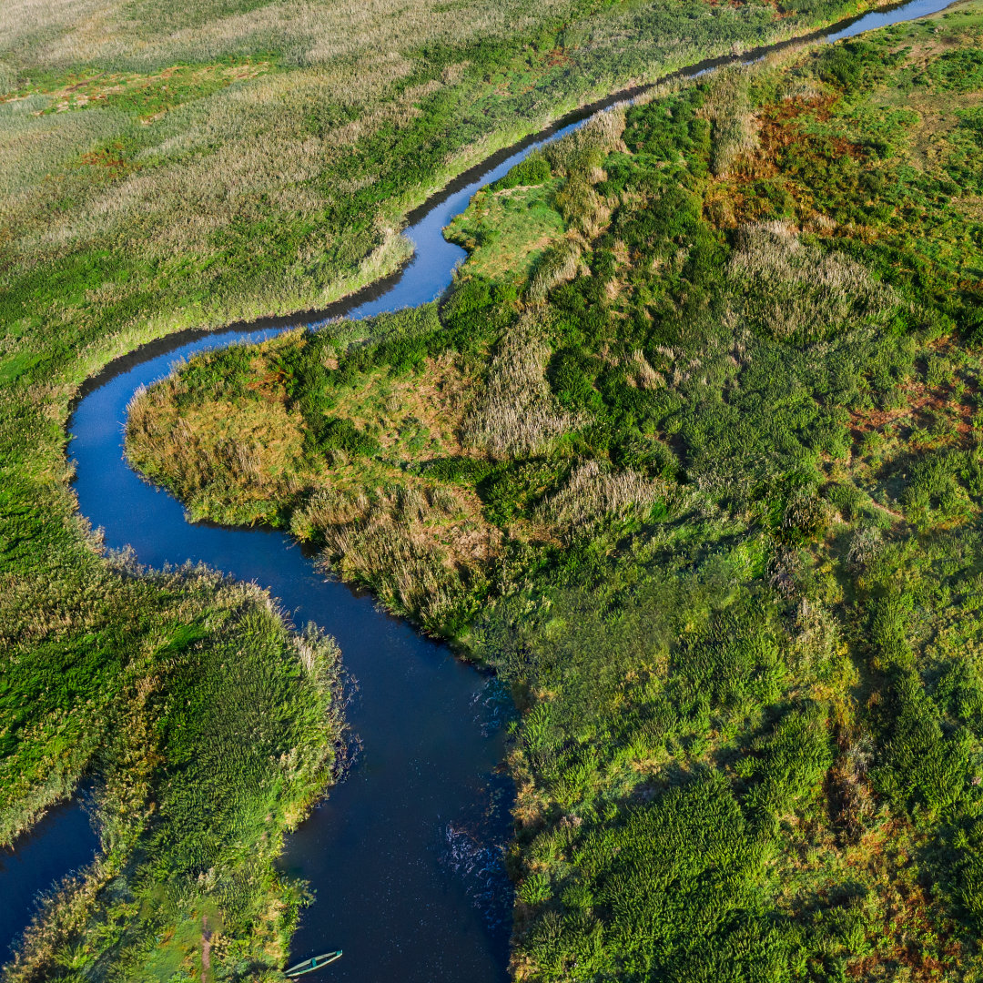 rzeka Narew z lotu ptaka