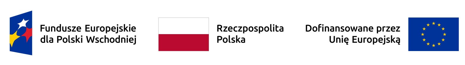 Logo FE dla Polski Wschodniej, Flaga Rzeczpospolita Polska, Flaga DOfinansowane przez UE