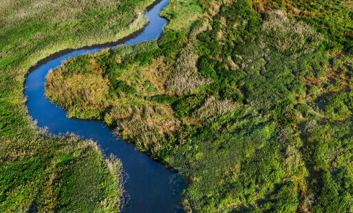rzeka Narew z lotu ptaka