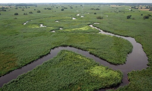 Rzeka Narew, widok z góry