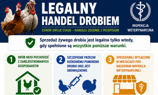 Plakat z informacjami na temat zasad legalnego handlu drobiem