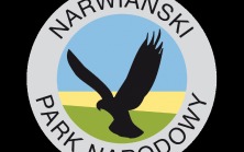 lodo Narwiańskiego Parku Narodowego